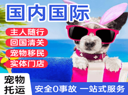 揭阳机场快递国际宠物托运 【国